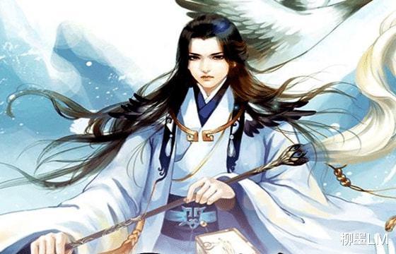 寂静森林找星星